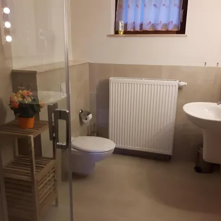 公寓 Haus 奥泊维森塔尔