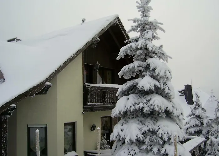 Апартаменты Haus *